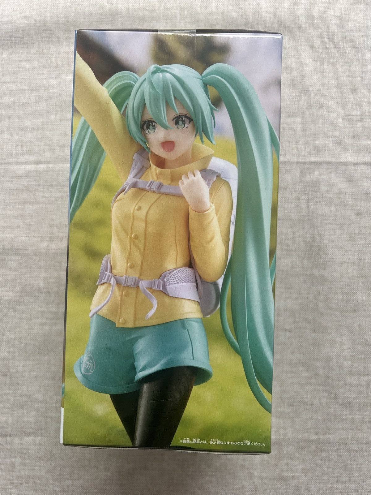 Hatsune Miku Holiday Memories Mountain Climbing ver. Vocaloid Figure (B/1)