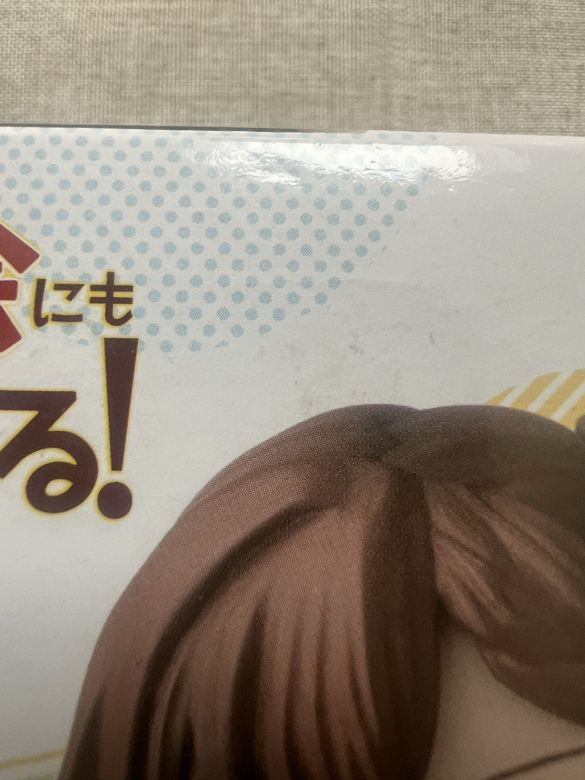 There is Also a Hole in the Student Organization! Hisako Kotobuki Figure (B/1)
