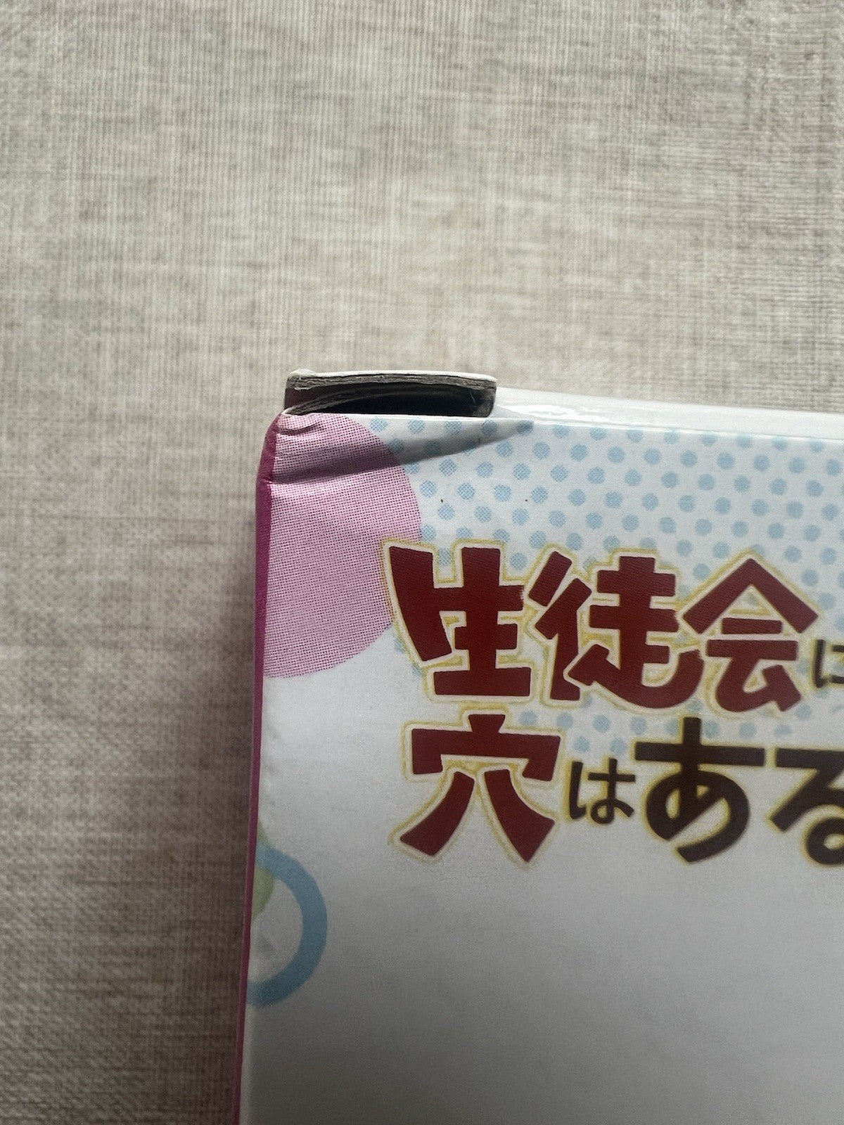 There is Also a Hole in the Student Organization! Hisako Kotobuki Figure (B/1)