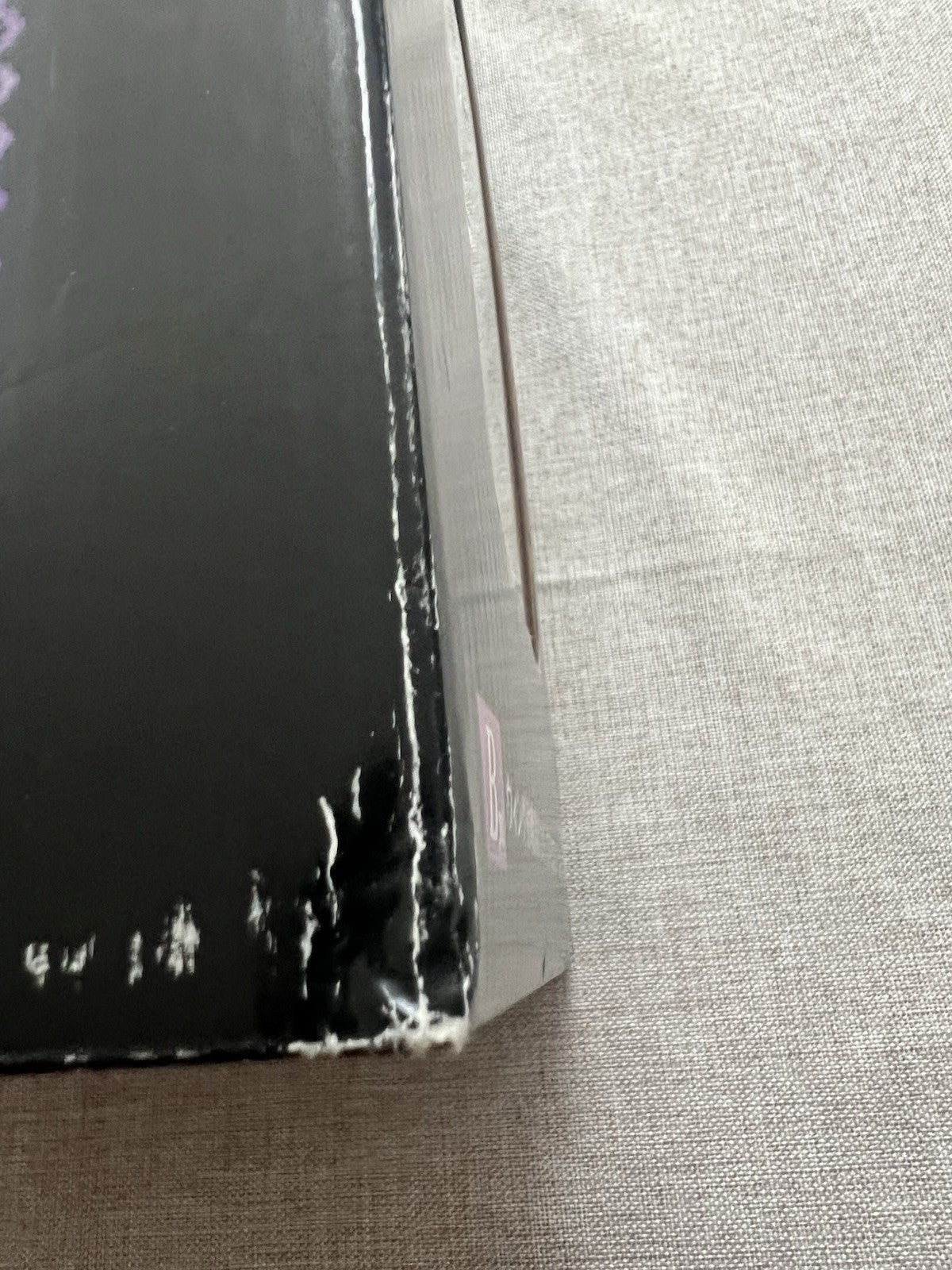 Puella Magi Madoka Magica Devil Homura Ichiban Kuji B Figure (C/1)