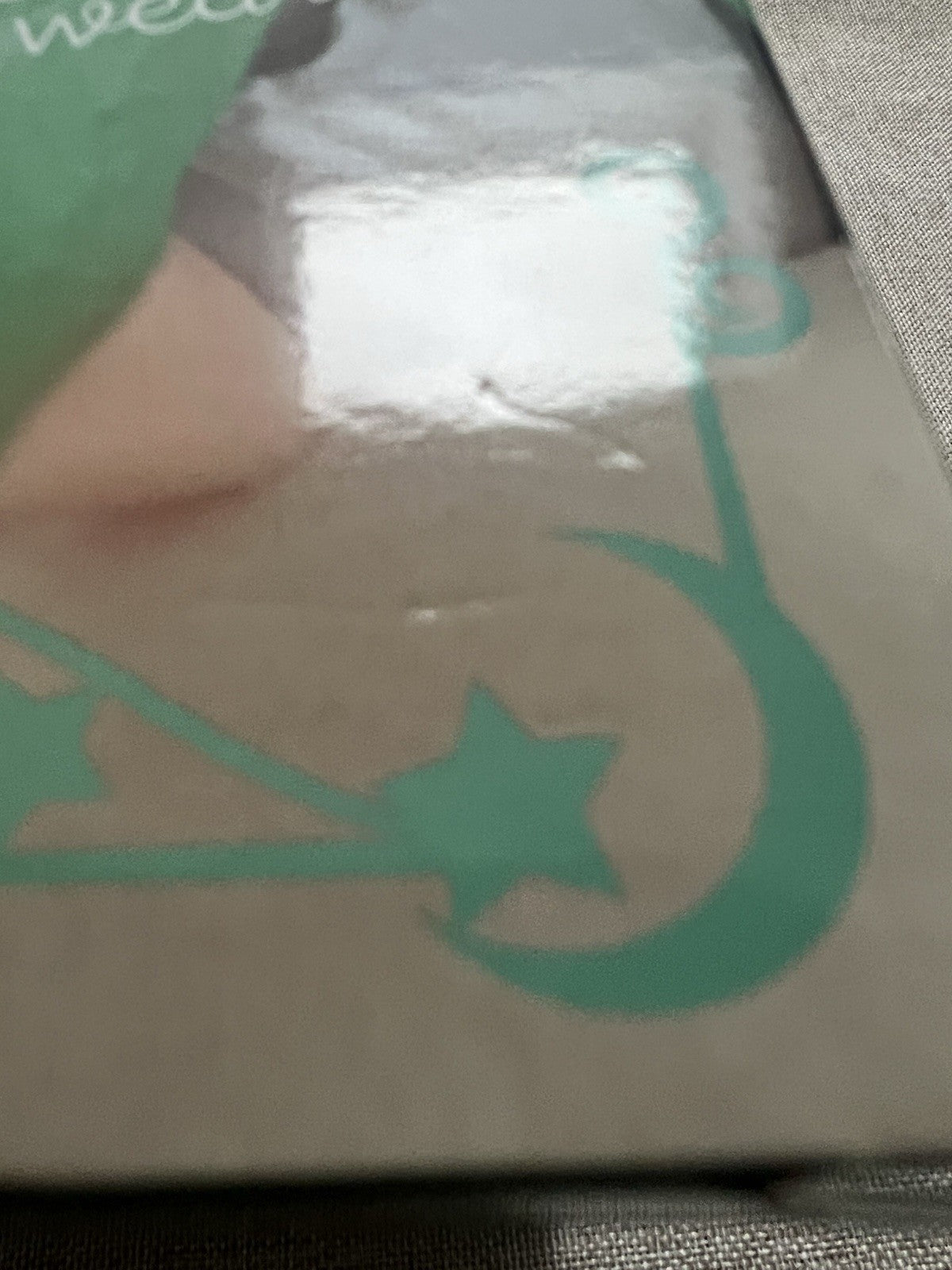 The Quintessential Quintuplets Yotsuba Nakano Noodle Stopper Figure (C/1)