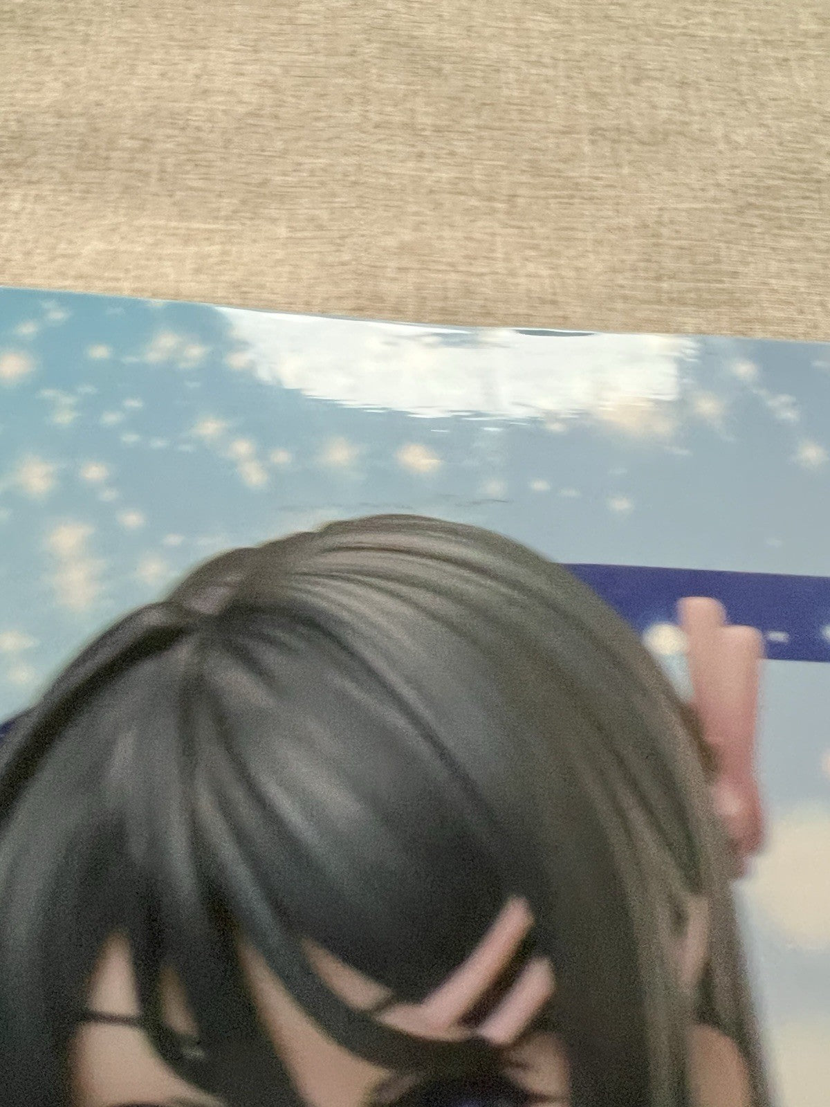 Rascal Does Not Dream of Bunny Girl Senpai Mai Sakurajima Jewel Princess (B/1)