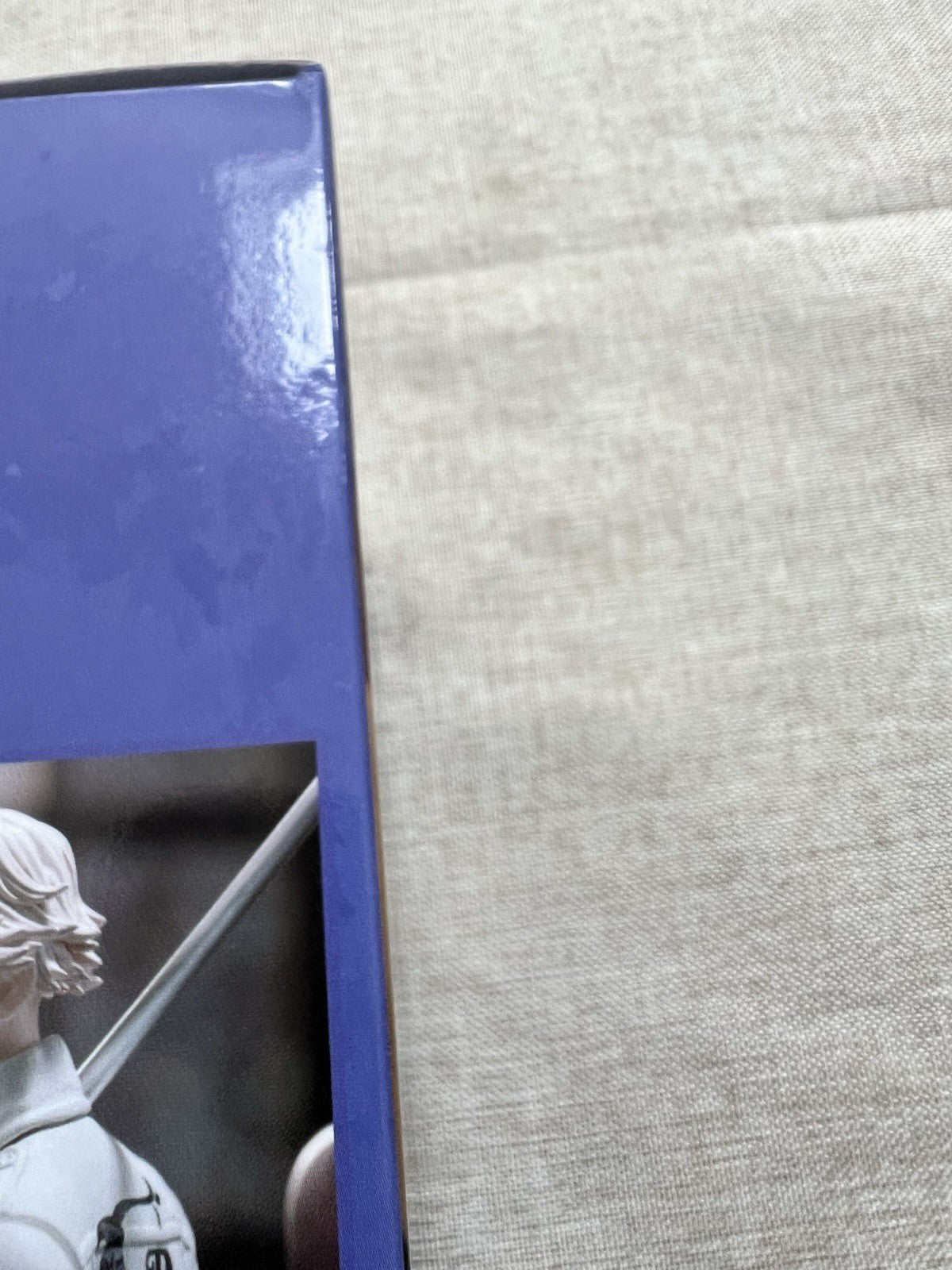 Tokyo Revengers Seishu Inui Chokonose Premium Figure SEGA (B/1)