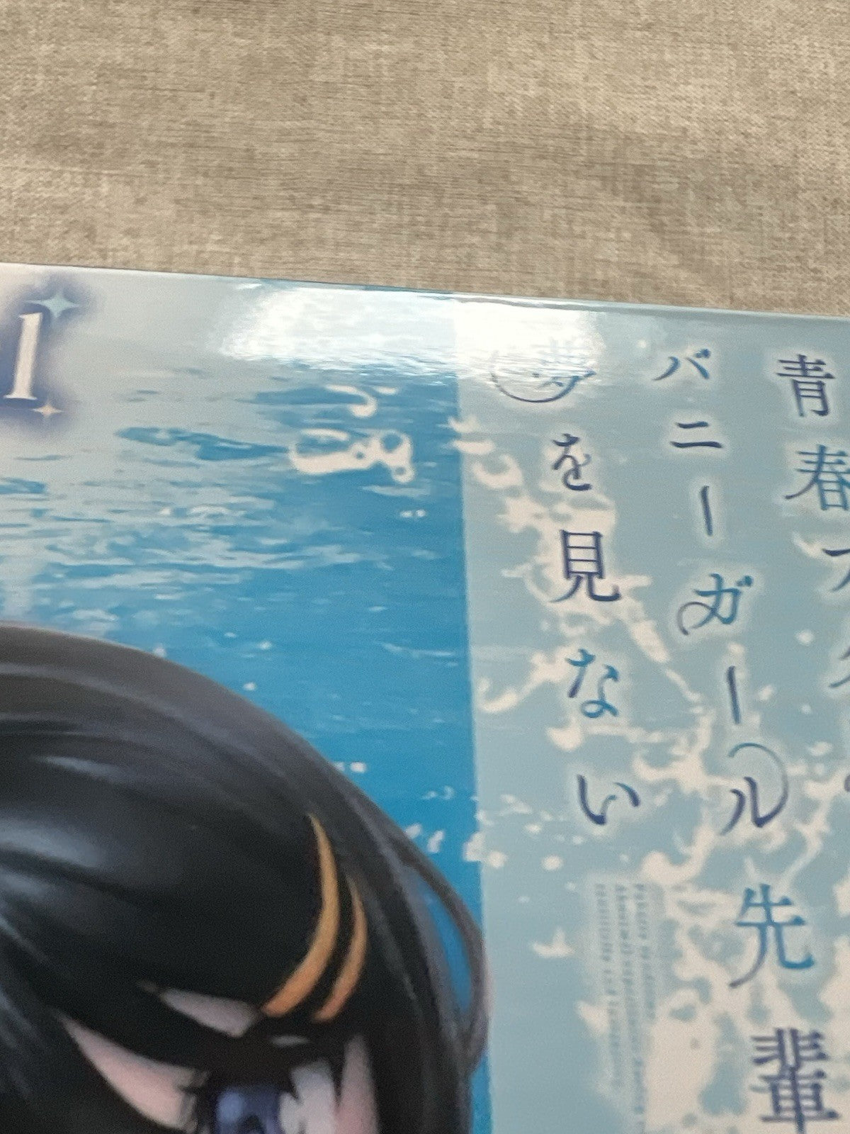 Rascal Doesn't Dream of Bunny Girl Senpai Mai Sakurajima Coreful Figure (B/1)