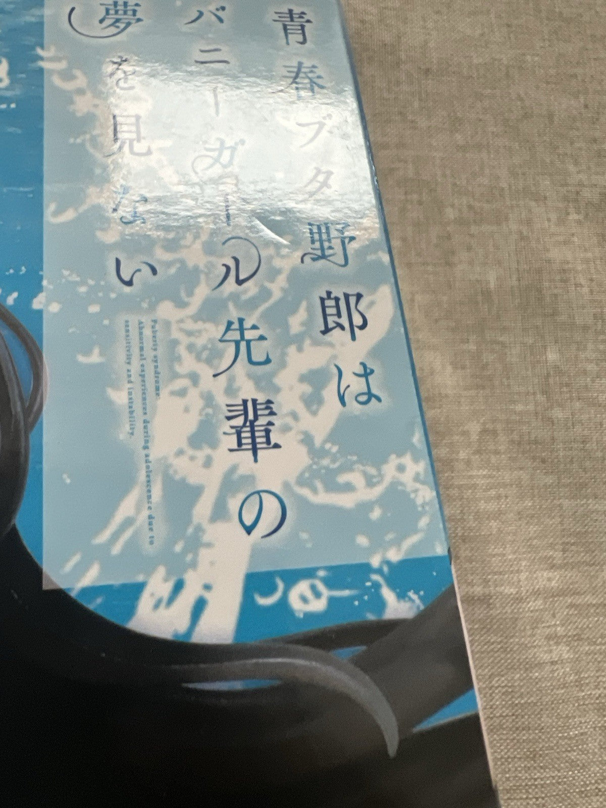 Rascal Doesn't Dream of Bunny Girl Senpai Mai Sakurajima Coreful Figure (B/1)