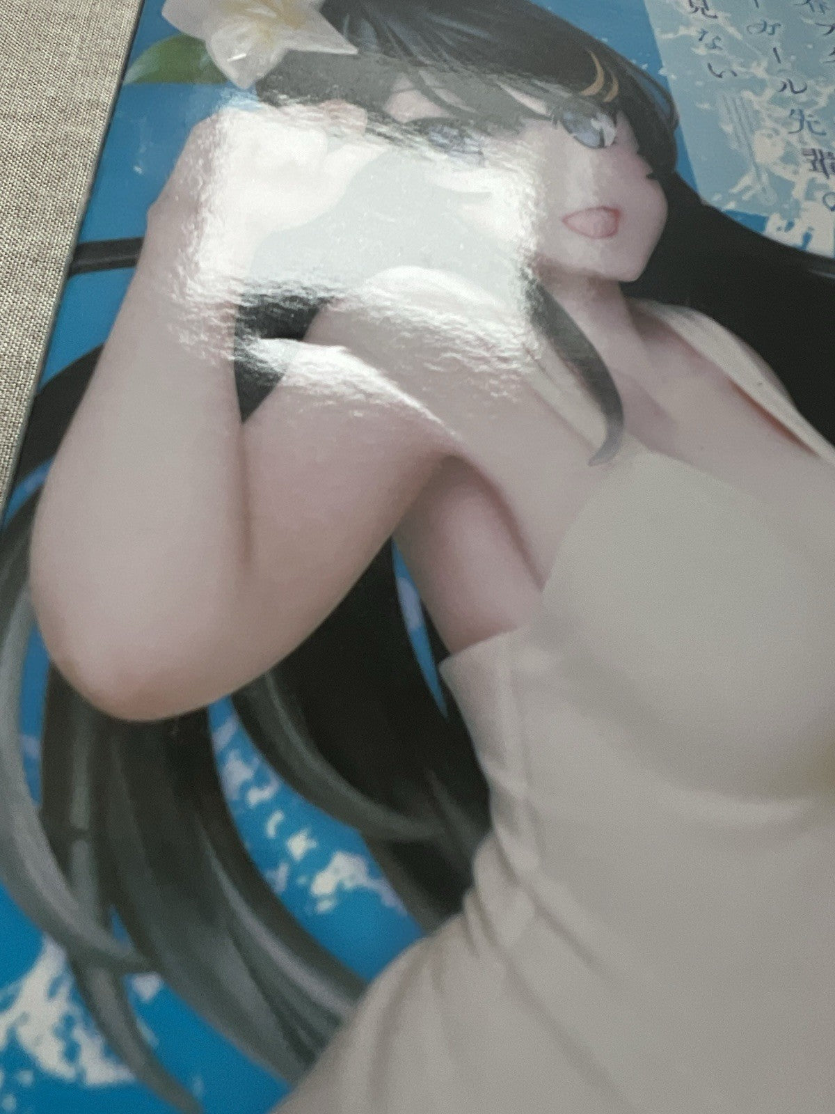 Rascal Doesn't Dream of Bunny Girl Senpai Mai Sakurajima Coreful Figure (B/1)