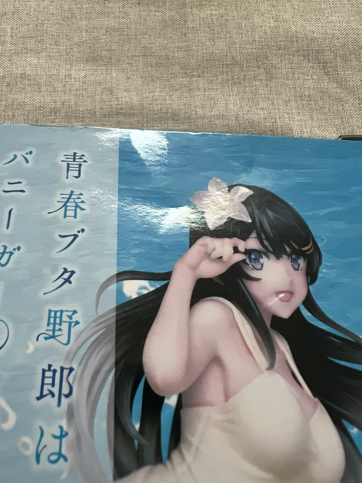 Rascal Doesn't Dream of Bunny Girl Senpai Mai Sakurajima Coreful Figure (B/1)