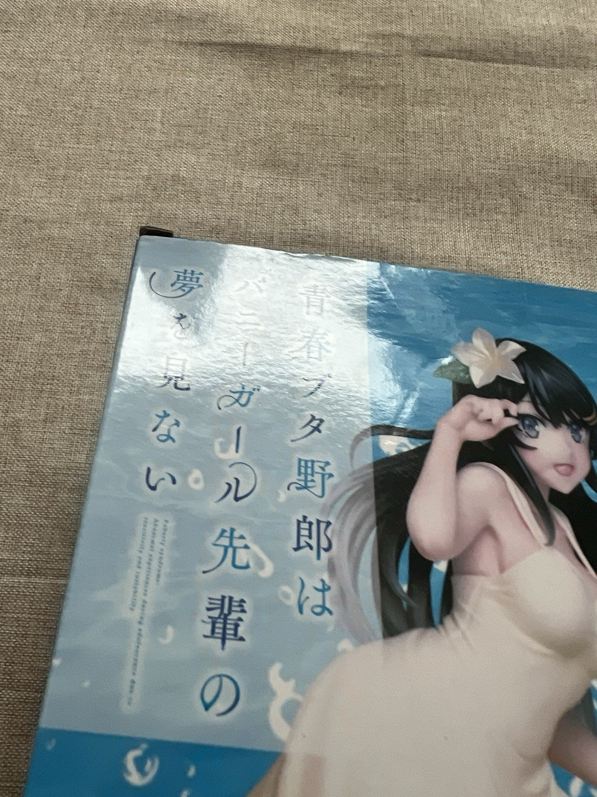 Rascal Doesn't Dream of Bunny Girl Senpai Mai Sakurajima Coreful Figure (B/1)